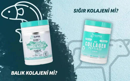 Balık Kolajeni Mi? Sığır Kolajeni Mi Daha Faydalıdır? - Supra Protein